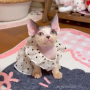 オンライン見学